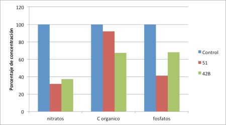 figura 2