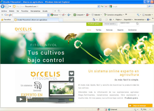 Orcelis